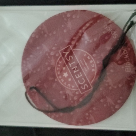 Scentsy Scent Circle Blackberry Spice - Picture 3 of 3